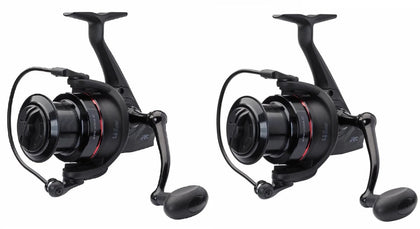 Karpfenrolle Angebot