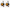 2x RV 7000 - Big Pit - Mega Deal - Gold Spule LTD