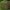 Avid Carp Benchmark - Ultra Memory Foam Pillow - KarperCentrale