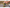 Avid Carp Ex - Cast - 14.000 - Carp Reel - KarperCentrale