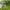 Avid Carp Multi Pod - 3 hengels - Verstelbaar - Lok Down - KarperCentrale
