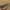 Avid Carp Outline - Tungsten Anti - Tangle Sleeve - KarperCentrale