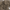 Avid Carp Pro - Tect net 8FT - 42