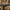 Avid Carp Pro - Tect net 8FT - 42