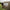 Avid Carp Revolve Screen House - Gazebo - KarperCentrale