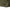 Avid Carp RVS Carryall - KarperCentrale