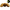 CC Solution Boilies Premium Range - Honey Citrus Boilies - 5KG - Geel - KarperCentrale