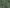 Delphin C2G - Carry - all - XL - KarperCentrale