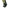 Delphin Classa - Chestwaders - KarperCentrale