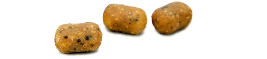 Dumbells fürs Karpfenangeln: eine andere Form, dieselbe Qualität