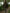 Korda Insulated Hooded Jacket - Dark Olive - KarperCentrale
