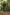 Korda Patch Crewneck - Dark Olive - KarperCentrale