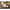 Korda Pop - up Dumbell Banoffee (16mm) - 5 pcs - KarperCentrale