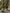 Korda Ultralite Joggers - Olive - KarperCentrale