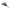 Korum Specimen - Landingsnet - 36