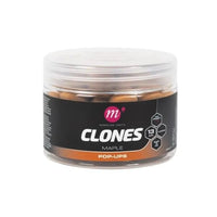 Clones - Pop-ups - Ahorn - 13mm