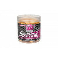 Hi Impact - Ausgewogene Wafters - Choc-O