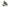 Nash Tackle Bank Life - Windbreak Camo - KarperCentrale