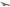 Nash Tackle Scope OPS - Hi Protect - 2 Rod Skin - 6FT - KarperCentrale