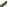 Nash Tackle Scope OPS - Soft Protect - 1 Rod Skin - 6FT - KarperCentrale