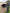 RidgeMonkey XF2 Compact V2 - 1 man - Camo - KarperCentrale
