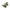 Trakker Bait Scoop Set - 3pcs - KarperCentrale