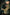 Trakker NXC - 3 Rod Sleeve - 12ft - KarperCentrale