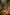 Trakker NXC - Rod Sleeve - 10ft - KarperCentrale